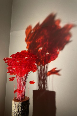 Tamara Greindl - Volcan (Inside)(Recup)